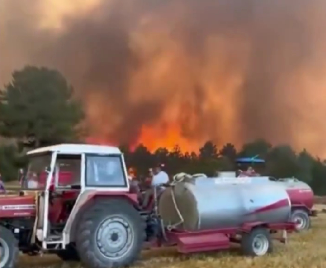 Mudurnu'da büyük orman yangını