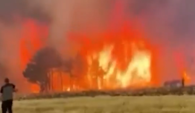 Mudurnu'da büyük orman yangını