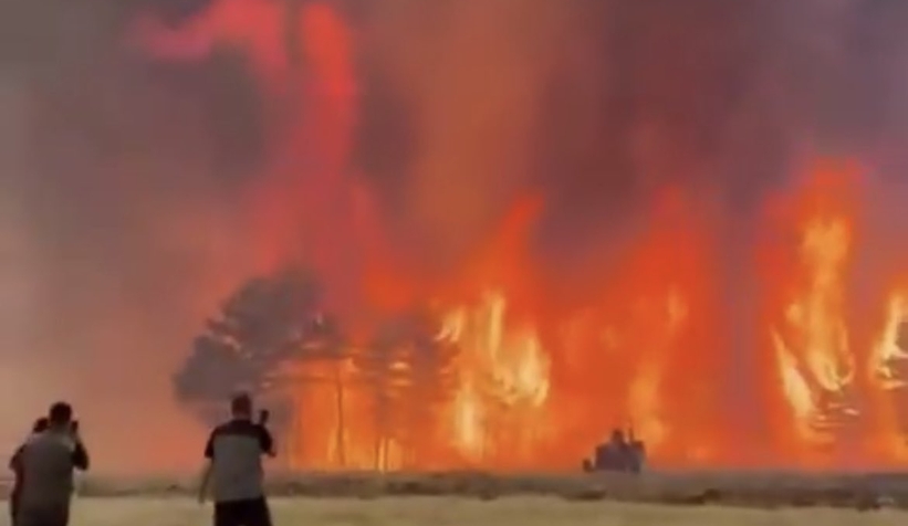 Mudurnu'da büyük orman yangını