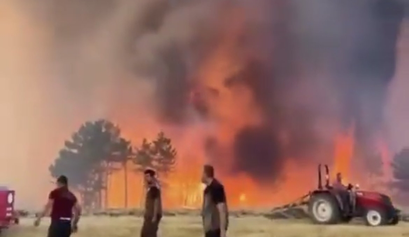 Mudurnu'da büyük orman yangını