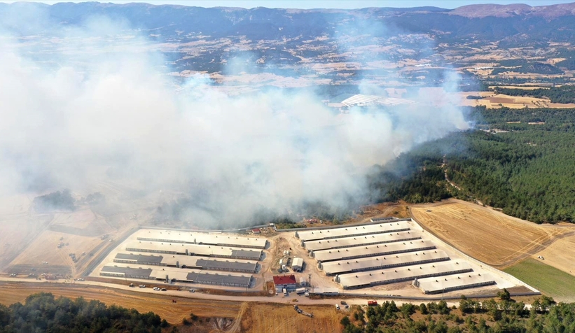 Mudurnu'da büyük orman yangını