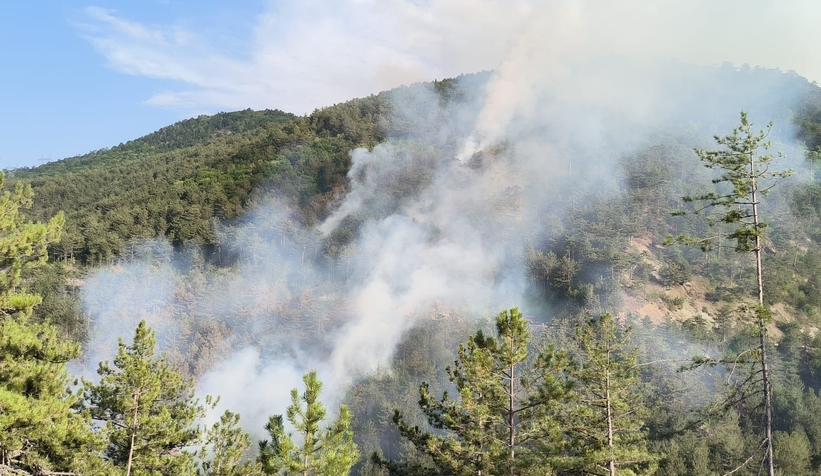 Mudurnu'da orman yangını