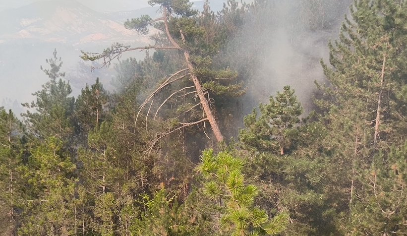 Mudurnu'da orman yangını