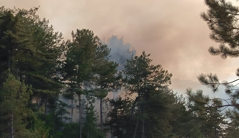 Mudurnu'da orman yangını