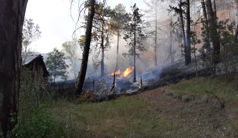 Mudurnu'da orman yangını