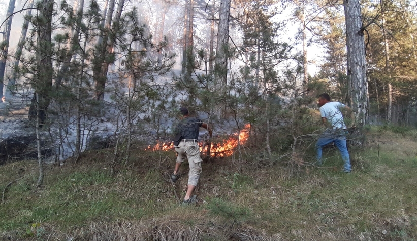 Mudurnu'da orman yangını
