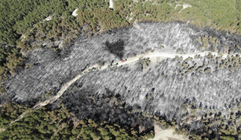 Mudurnu'daki orman yangını kontrol altına alındı