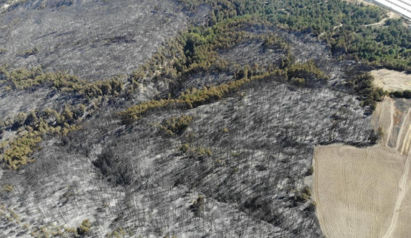 Mudurnu'daki orman yangını kontrol altına alındı