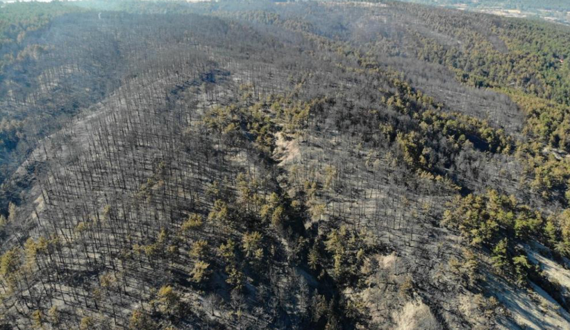 Mudurnu'daki orman yangını kontrol altına alındı