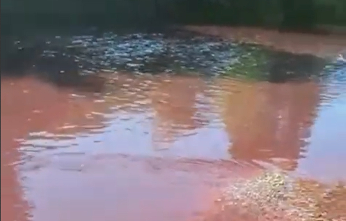 Mudurnu Deresi kızıla döndü
