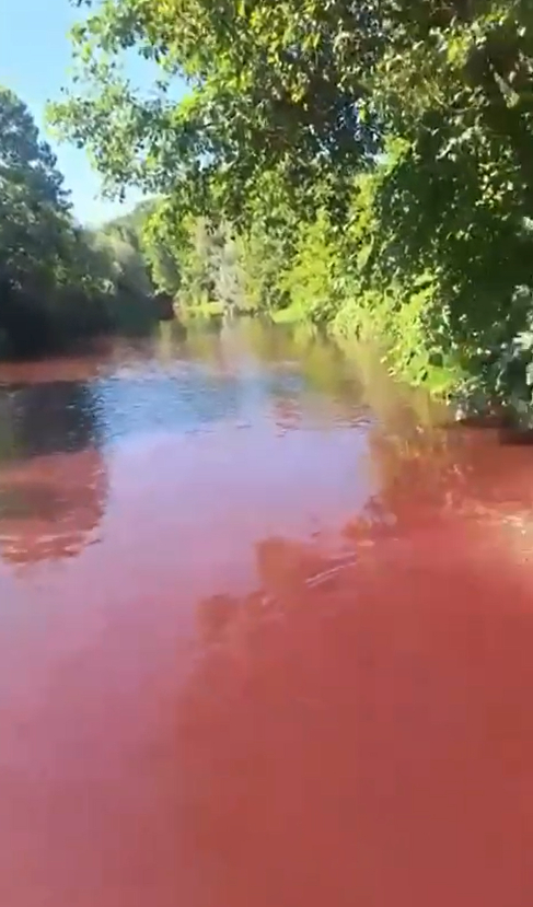 Mudurnu Deresi kızıla döndü