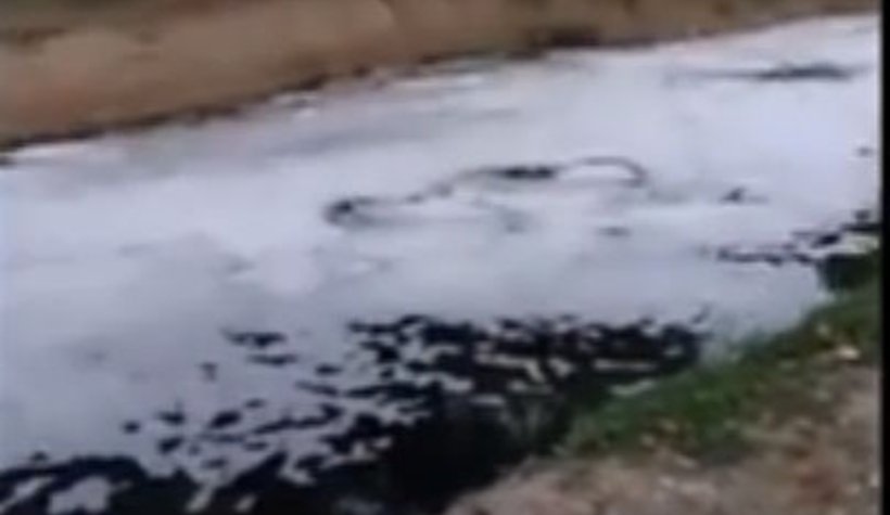 Mudurnu Deresi köpürdü