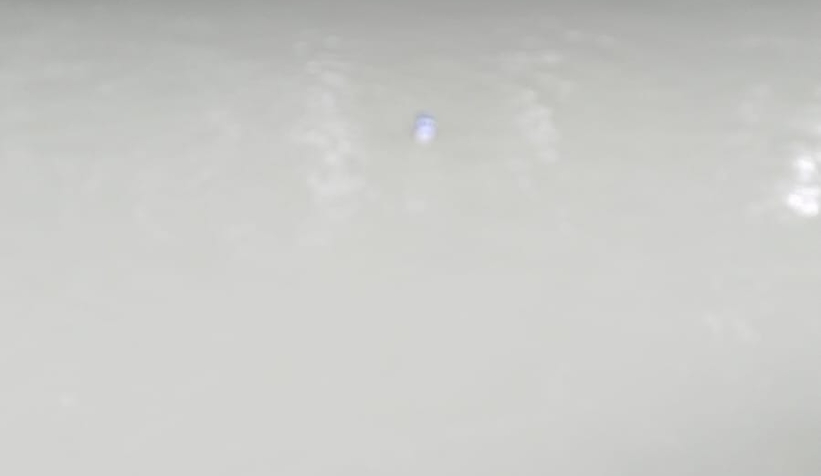 Mudurnu Deresi'nde toplu balık ölümü