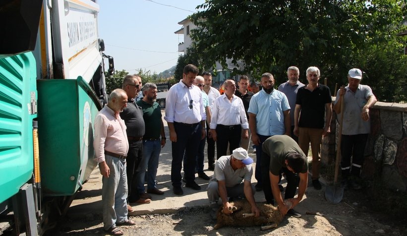 Muhtar asfaltı görünce kurban kestirdi