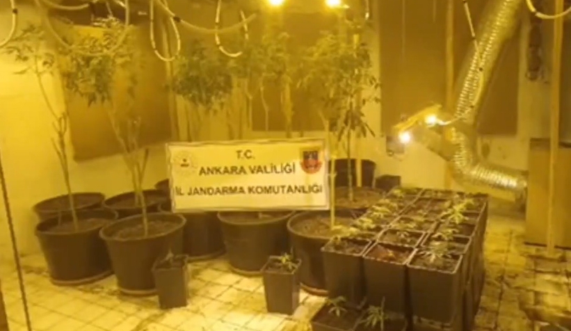 Narkoçelik-7 operasyonu