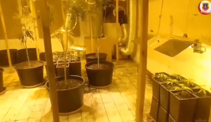 Narkoçelik-7 operasyonu