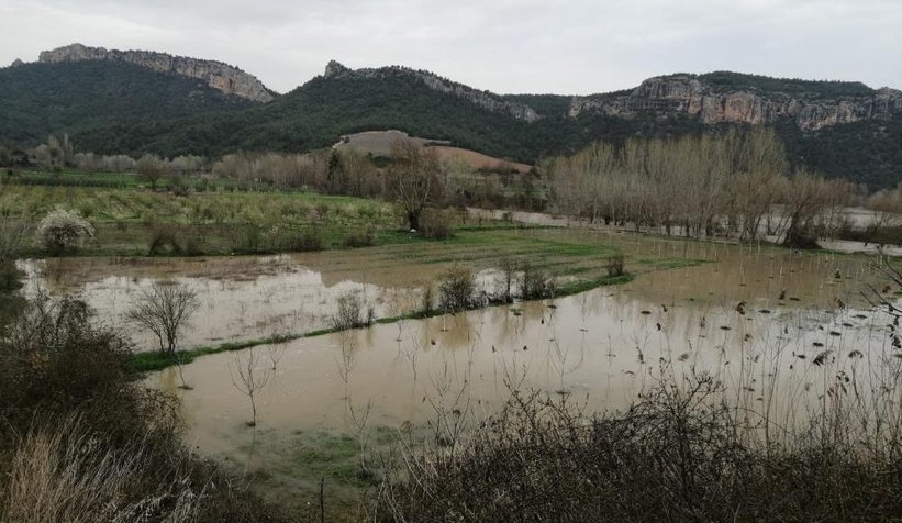 Nehir taştı, tarım alanları sular altında kaldı