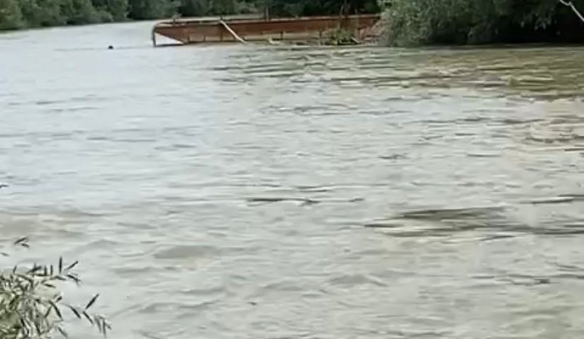 Nehirde kaybolmuştu Kardeşinin çırpınışlarını çekti