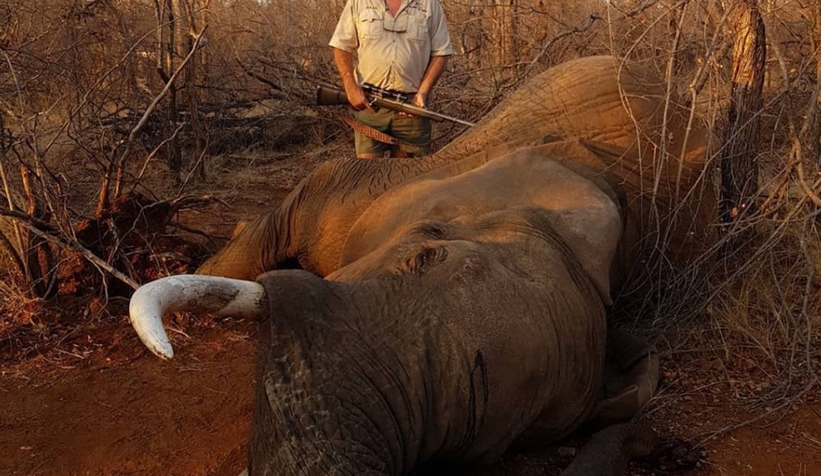 Nesli tehlikedeki hayvanları avlıyordu: Öldürüldü