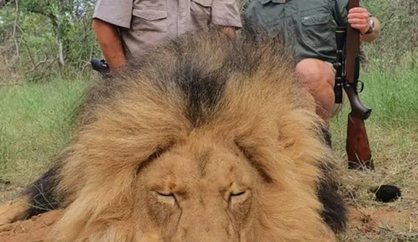 Nesli tehlikedeki hayvanları avlıyordu: Öldürüldü