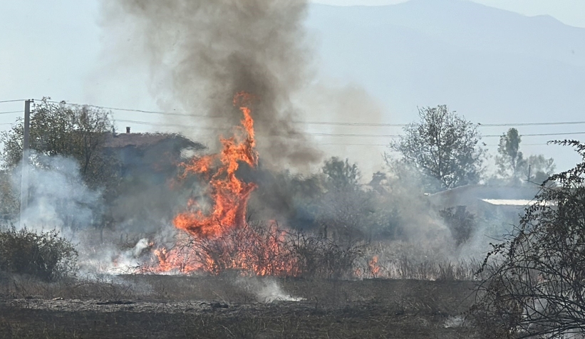 nız yangını 10 dönüm araziyi küle çevirdi