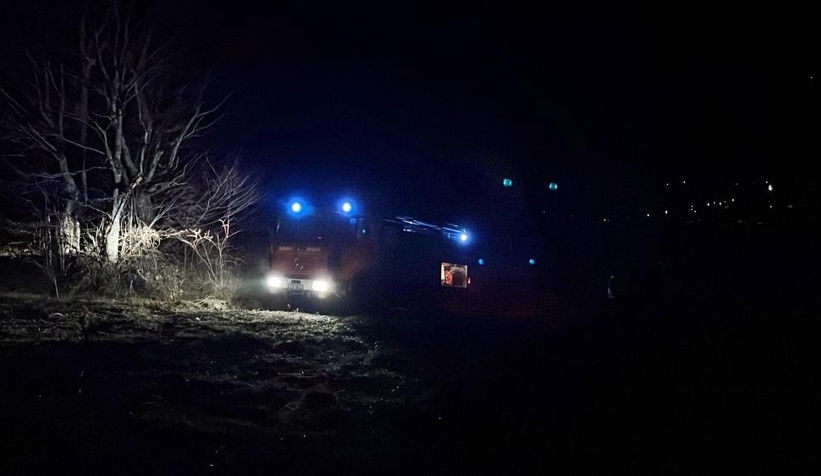 Ocak ayında orman yangını korkuttu