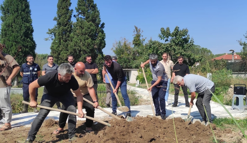 odunlukta-olu-bulunan-berke-topraga-verildicglydlrnmn