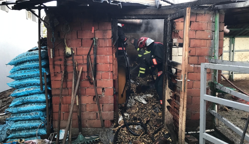 Odunluktaki kalorifer kazanı patladı