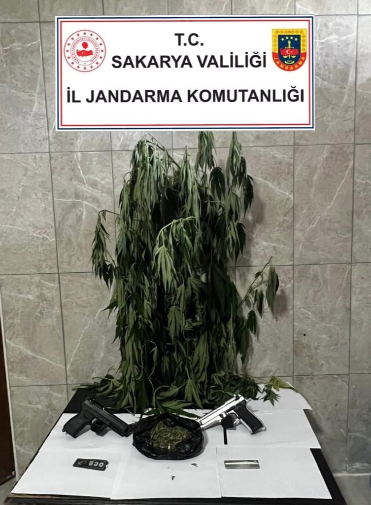 Odunluktan esrar bahçeden kenevir çıktı!