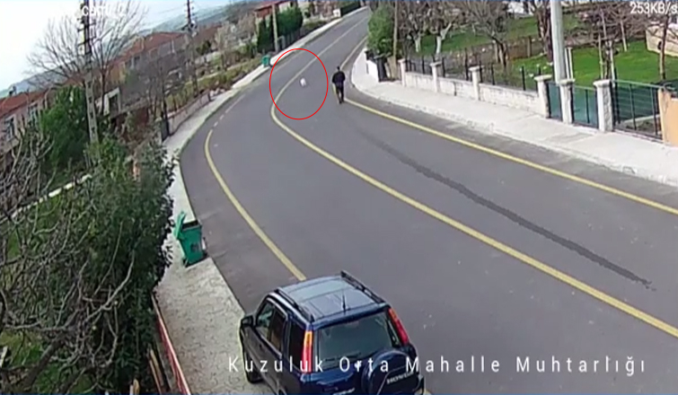 Okul servisi köpeği ezip böyle kaçtı