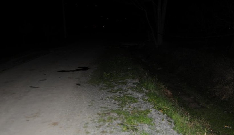 Öldürüp yol kenarına attılar