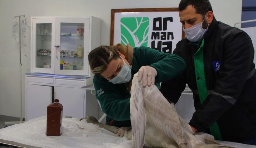 Ölmek üzereyken bulunmuştu, tedavi altına alındı