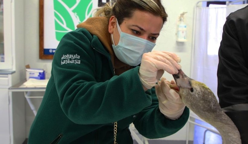 Ölmek üzereyken bulunmuştu, tedavi altına alındı
