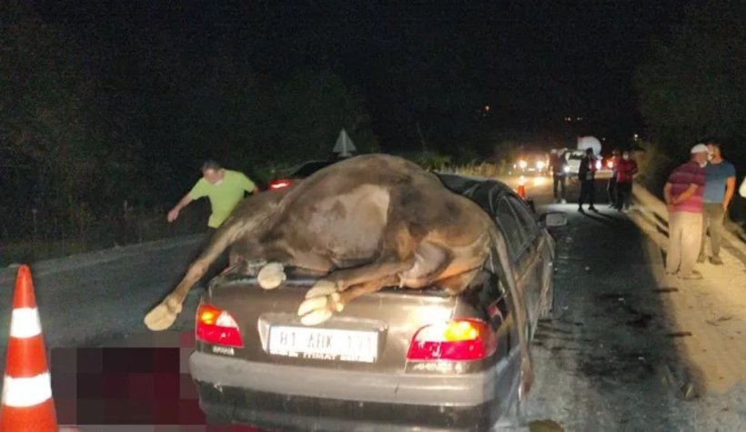 olum-kavsaginda-tehlike-saciyorlarn3fqsvfadn