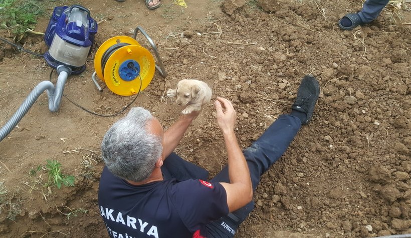 Onu kurtarmak için seferber oldular