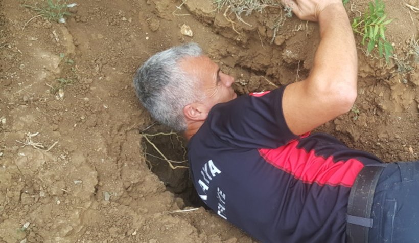 Onu kurtarmak için seferber oldular