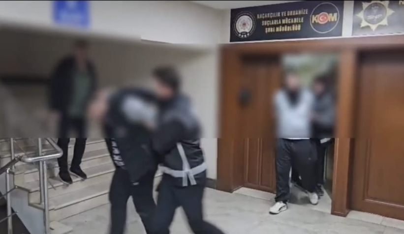 organize-suc-orugutu-uyesi-4-kisi-bungalovda-yakalandiqvnuuw8rzv