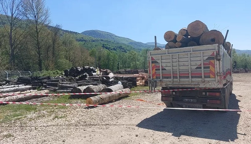 orman-deposunda-uzerine-tomruk-dusen-isci-topraga-verildiafzmejq0sk