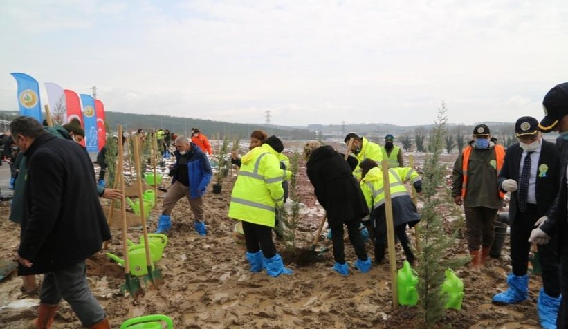 Orman Haftasında Kuzey Marmara Otoyolu’nu yeşillendirdiler