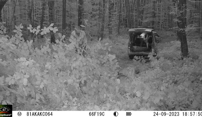 Orman kaçakçıları fotokapana yakalandı