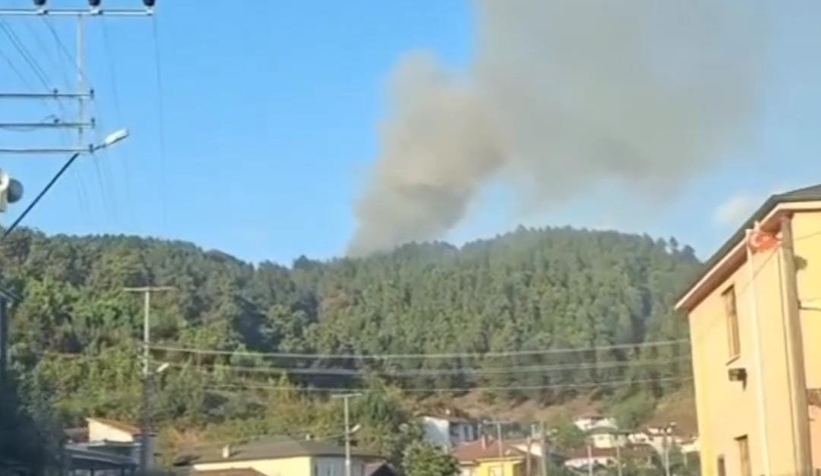 orman-yangini-cikti-ekipler-sevk-edildislq0ytfsax