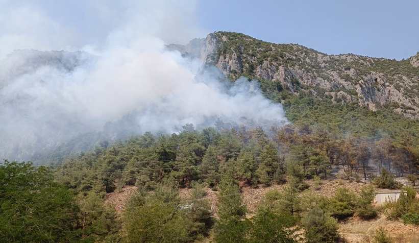 Orman yangını çıktı; Havadan ve karadan müdahale ediliyor