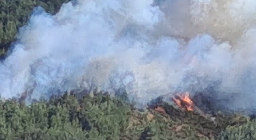 Orman yangını çıktı; Müdahale sürüyor