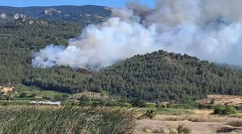Orman yangını çıktı; Müdahale sürüyor