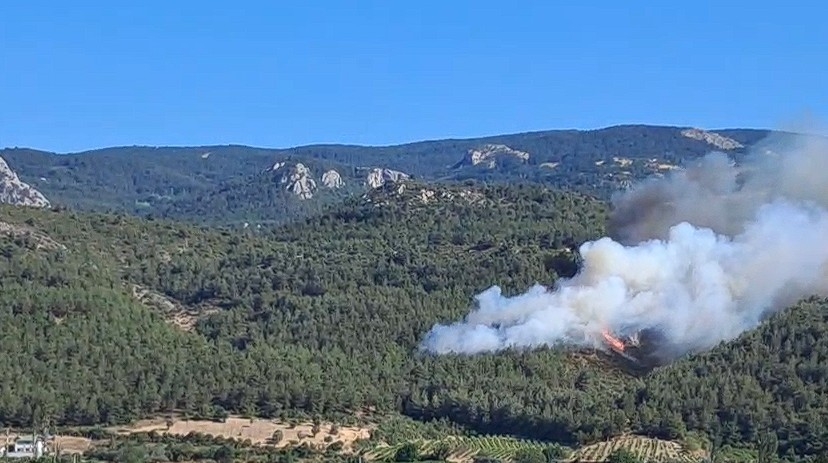 Orman yangını çıktı; Müdahale sürüyor