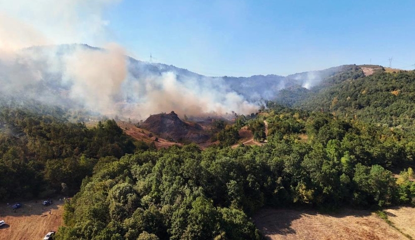 Orman yangını havadan görüntülendi
