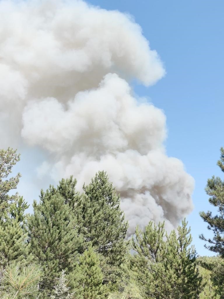 Orman yangını kontrol altına alındı