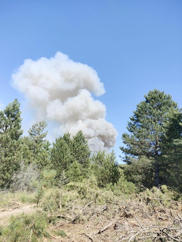 Orman yangını kontrol altına alındı