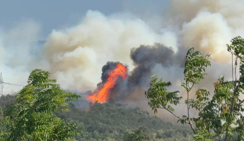 Orman yangınına müdahale sürüyor