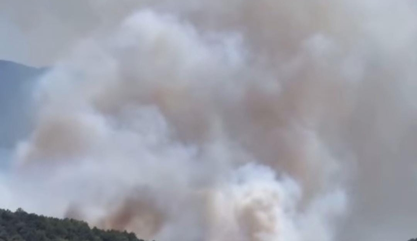 Orman yangınına müdahale sürüyor